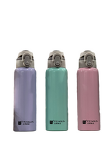 Penguin 600ML Hot and Cool Stainless Steel Bottle