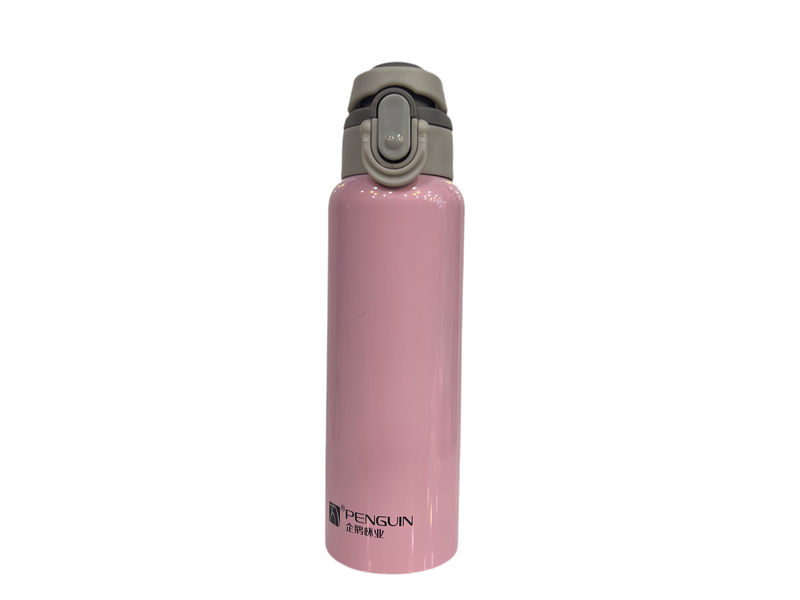 Penguin 600ML Hot and Cool Stainless Steel Bottle