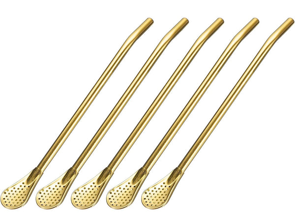 Set of 6pcs Filter Spoon Straw Reusable High Quality Stainless Steel Golden